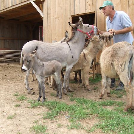 Tourist Farm Ob Izviru Krupe Villa Semic Екстериор снимка